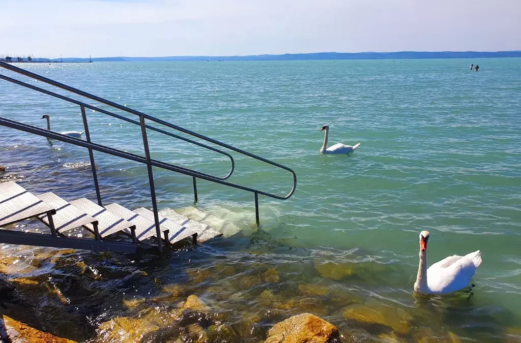 Balaton a hattyúk tava
